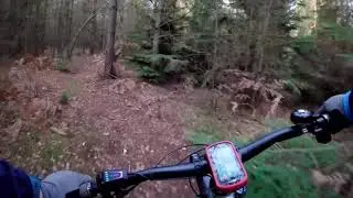 THROUGH THE TREES