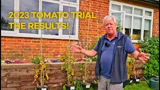 Tomato Trial Results