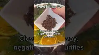 Yule and Winter Solstice Simmer Pot Recipe! #simmerpot #yule #yuletide #wintersolstice #holiday
