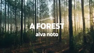 alva noto - A Forest [ambient The Cure cover]