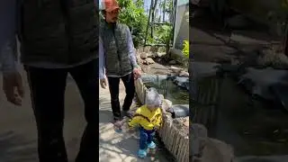 Ibarbo park ✨ #wisatajogja #ibarbopark #aviary #hiking #youtubeshorts #shorts #shortvideo #fyp