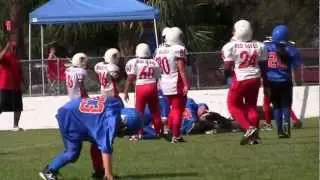 Avon Park Youth Football