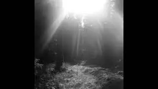 Nasheim - Lidelse / Lidane