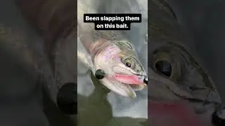 My &ldquo;SECRET&rdquo; Trout Lure