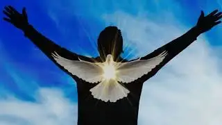 Guarding Against Deception; Wisdom From Scripture