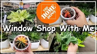 Plant Shop With Me at Home Depot | Browsing Home Depot's Indoor Jungle #plants #homedepot #shopping