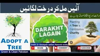 Adopt A Tree,,,fight against smog, change our environment