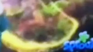 Tree fu Tom chili winter days on sprout￼ rare eclipse ￼