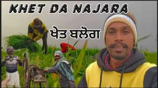 Pind De Khet 🌾 Da Njara 🤗 ਖੇਤ ਵਿੱਚ ਸਕੂਨ 🌻 ਅਤੇ ਕੁਦਰਤ ਦਾ ਨਜ਼ਾਰਾ।  Daily lifestyle vlogs 