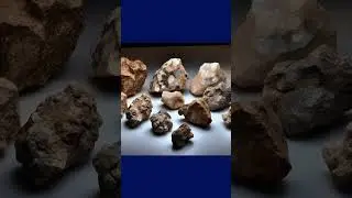 Researchers Found 5 More Diamond Indicator Plants