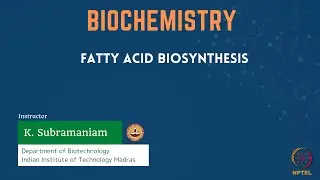 Fatty Acid Biosynthesis