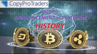 Скопируйте крупнейшее ОБЪЯВЛЕНИЕ Pro Traders в истории платформы (долгосрочный ПАССИВНЫЙ доход)