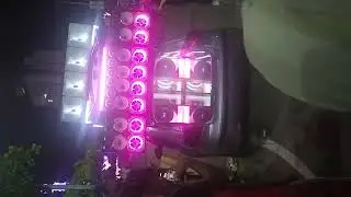 Maracaibo a la Plena 🍸🥃🍺