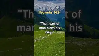 Oneverse: Proverbs 16:9 #GodGuides #BetterPlans #DivineDirection #FaithInUncertainty #bibleverse