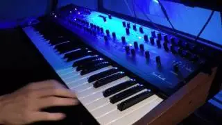 Dave Smith PolyEvolver solo - Fugitive (Synthwave)