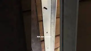 Trailer wood floor installation  #trailercanada