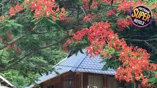 Nha Tan - Mai Chau Homestay & Tours | Mai Chau (Hoa Binh), Vietnam | Hotel Review 🌟