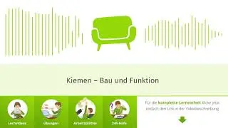 Kiemen &ndash; Bau und Funktion einfach erkl&auml;rt | sofatutor