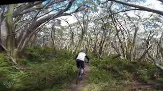 Muellers Track - Mt Baw Baw