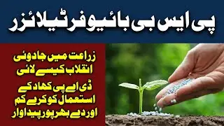 PSB bio Blend | Phosphate solubilizing bacteria biofertilizer kaise use kare | Organic Fertilizer