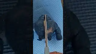 let's see what's really inside a squishy monkey