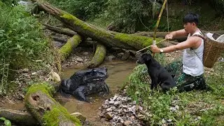 CEO makes bows and arrows. Goes into the forest facing danger to hunt giant frogs.