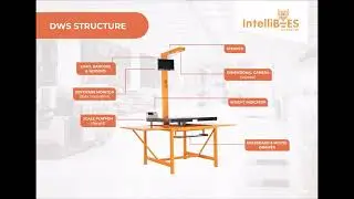 IntelliBees Automation - IntelliScan Dimension Weight Scanning (DWS) Solution PDF
