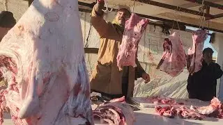 مباشرة من سوق الأسبوعي الاتنين ابن احمد مع تمن اللحوم حمراء