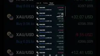 POWER OF ALGO TRADING #trading #live #forex #crypto #forextrading #forextrader #bitcoinlive #bitcoiN