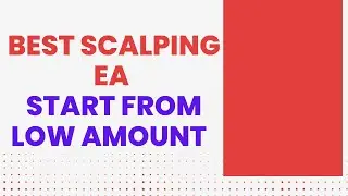 BEST MT4 SCALPING GBPUSD EURUSD EA