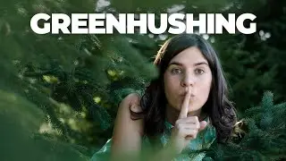 The &lsquo;greenhushing&rsquo; era? Political climate has companies staying quiet on climate