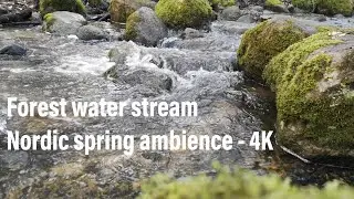 Spring ambience - Nordic forest - Flowing stream and bird song - Nature meditation - 4 hours - 4K