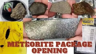 Meteorite Box Opening! Package Opening: Meteorites, Pallasite, Ureilite, Amber, Meteorites for Sale!