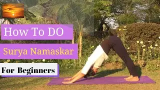 Surya Namaskar for Beginners | HOW TO DO | Right BREATHING Pattern | IMPORTANCE | BENEFITS in 7 Days
