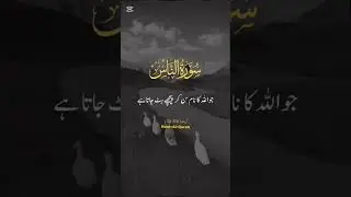 To Avoid Black Magic, READ SURAH AN NAS 🌸 VERSES 01-06 #foryou #qurantranslation #blackmagic #surah