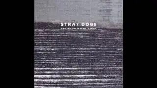 Stray Dogs - Pluvier [KVITNU 48]