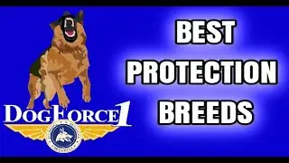 BEST Protection Breeds