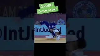 Судья прав? #judo #борьба #бросок #дзюдо #иппон #martialart #победа #mma #sport #judoka