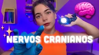 ✨ASMR | Realizando o teste dos seus NERVOS CRANIANOS✨