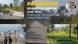 Palampur vibes ✨️ Himachal ki tea business hub.