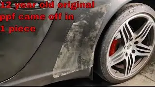 Do Not Attempt To Remove 12 Year Old Paint Protection Film Before This | 3 Month MIA Life Update