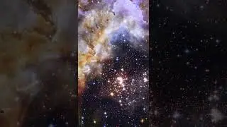 Exploring the Challenges of #PlanetFormation in #Westerlund2's Chaotic Environment 🌌✨: #relax
