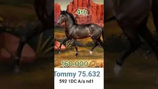 What my top 7 studs in Horse reality have earned #horsegames #horsereality