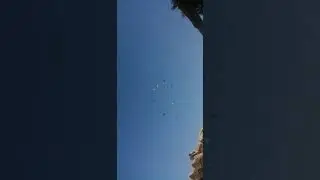 #speed #fullspeed #pigeon #pigeonpigeon #birds #kbootar #resar
