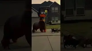 Neighbor walks the dogs dressed as an inflatable dog! 🤣🫣  -  🎥 Viralhog