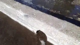 Water harvesting curb cut/core
