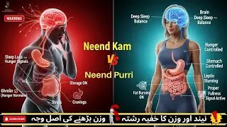 Lack of Sleep Is Making You Gain Weight &mdash; Hormones & Metabolism Explained