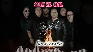 CAE EL SOL (SINGULAR SINGULARES) &Aacute;LBUM &ldquo;SOMOS NOSOTROS&rdquo; 2026