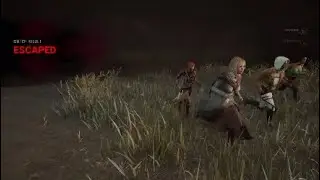 Dbd