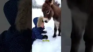 You're So Soft!